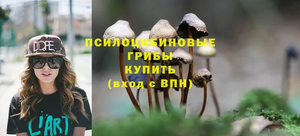 спиды Беломорск