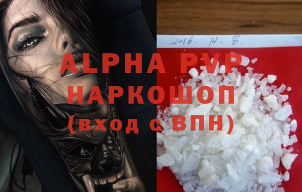 спиды Беломорск