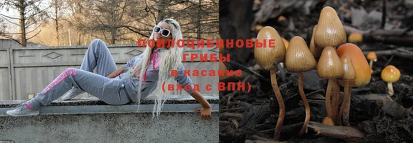 стаф Белоозёрский