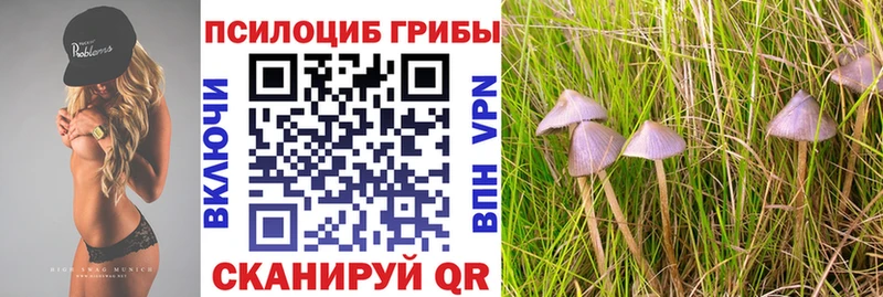 Псилоцибиновые грибы GOLDEN TEACHER  Купить где  Гремячинск 